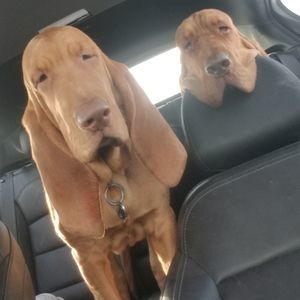 Meet your Posher, Hadrian